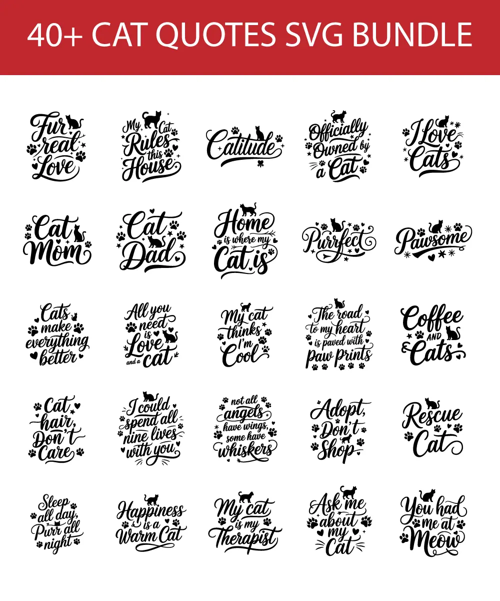 best cat quote svg bundle