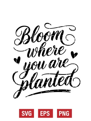 Bloom Where You Are Planted Svg